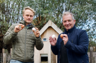 Schermafbeelding 2026-04-21 170648