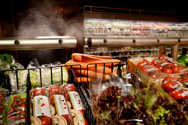 Albert Heijn & mist boven de groenten