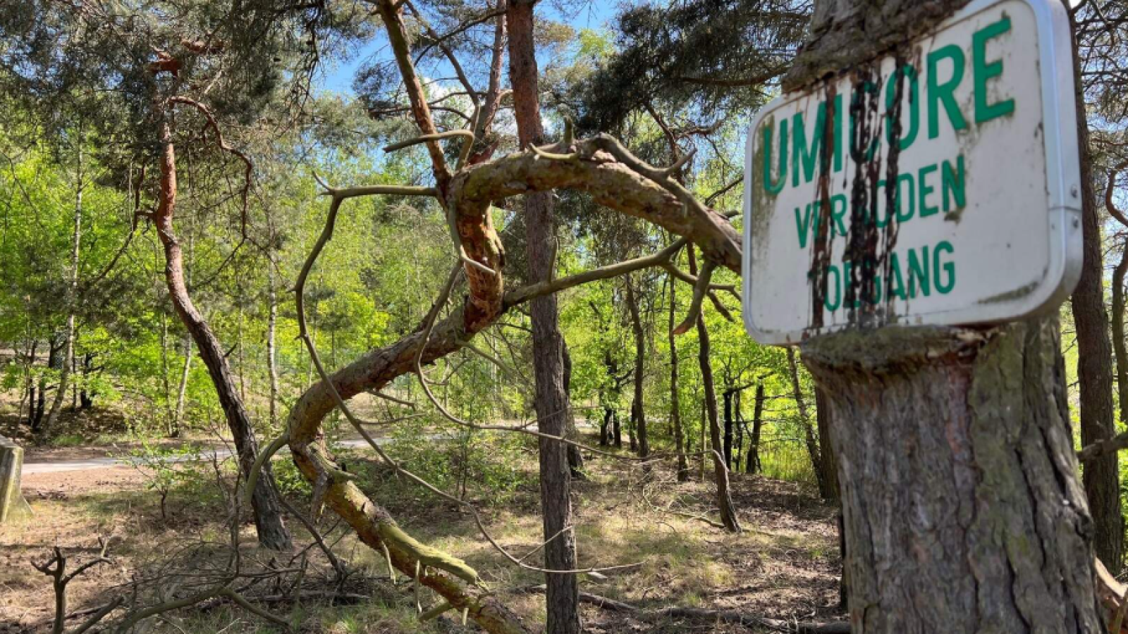 Umicore gaat historische vervuiling in kaart brengen