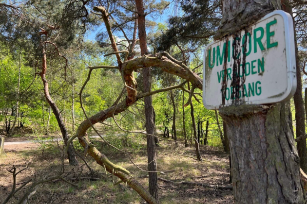 Umicore gaat historische vervuiling in kaart brengen
