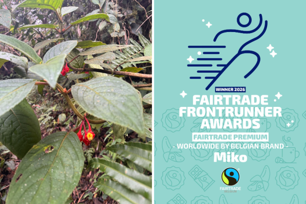 Koffieservicebedrijf Miko opnieuw Fairtrade Frontrunner dankzij sterke bijdrage in Fairtrade-premies