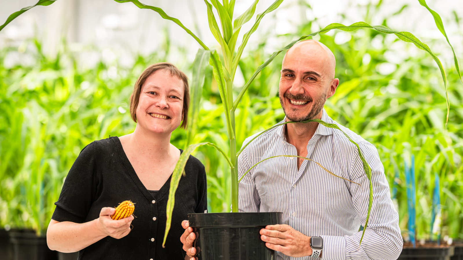 Left to Right_ Prof Hilde Nelissen (leading researcher at the VIB-UGent Center for Plant Systems Biology) and Giacomo Bastianelli (CEO of Rainbow Crops) holding Maize (1)