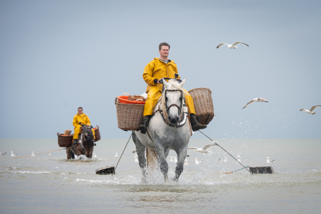 ODK examen paardenvissers Ian en Renzo-SOF-2444 (002)
