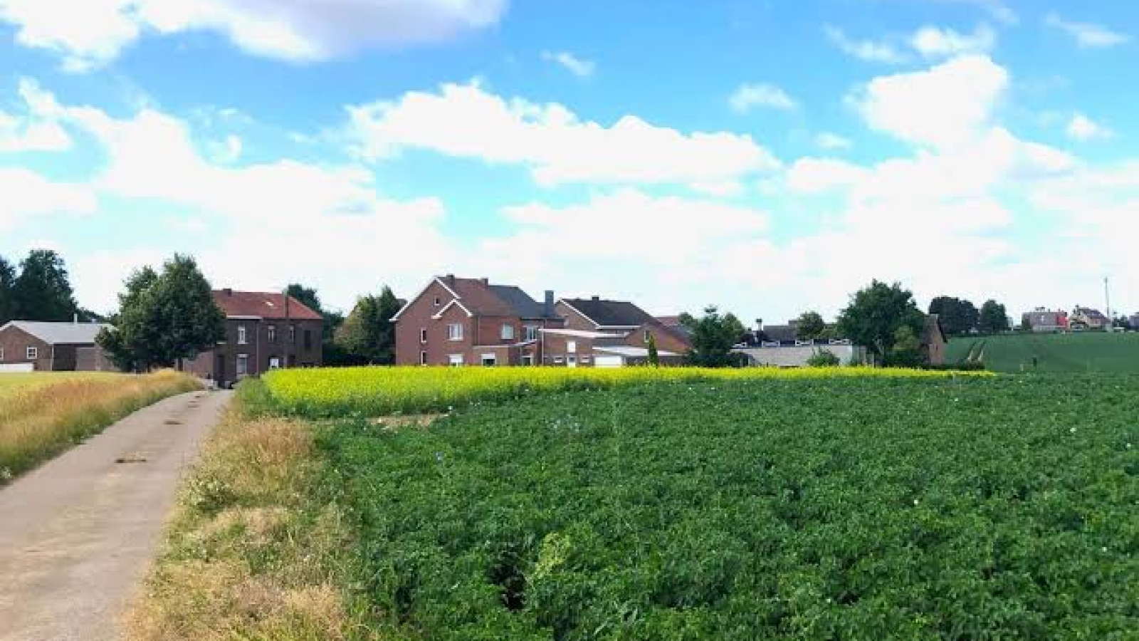 landbouwgewassen