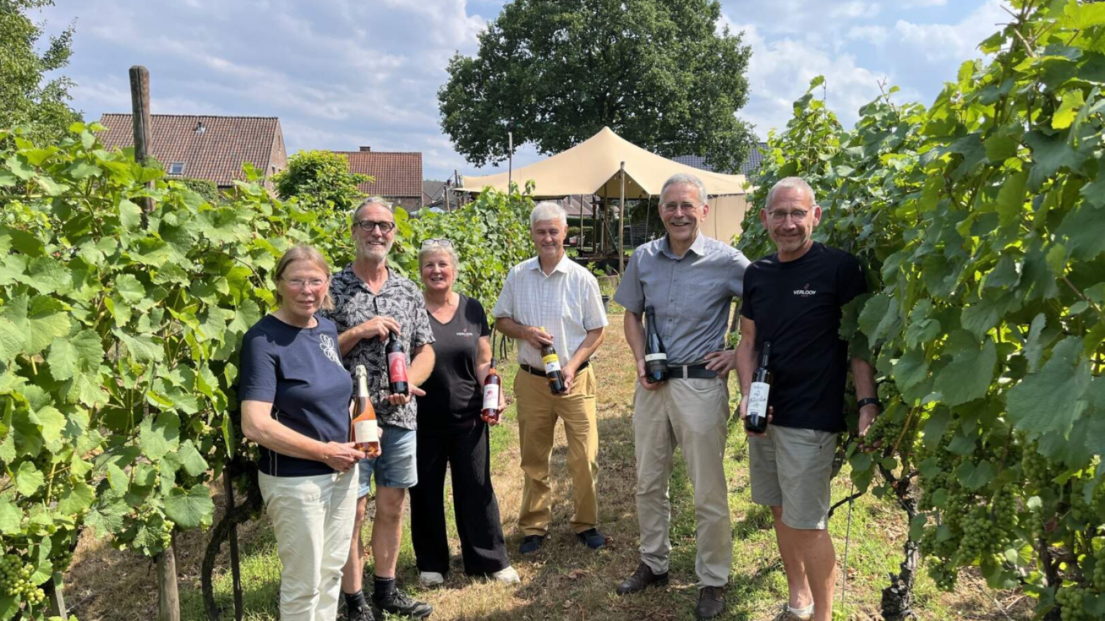 Kempense wijnbouwers lanceren Open Wijngaardweekend