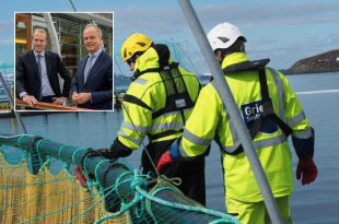 ackermans en van haren investeren in zalm