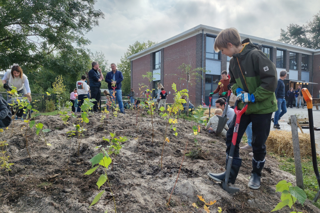 IT-bedrijf schenkt microbos aan school in Stabroek