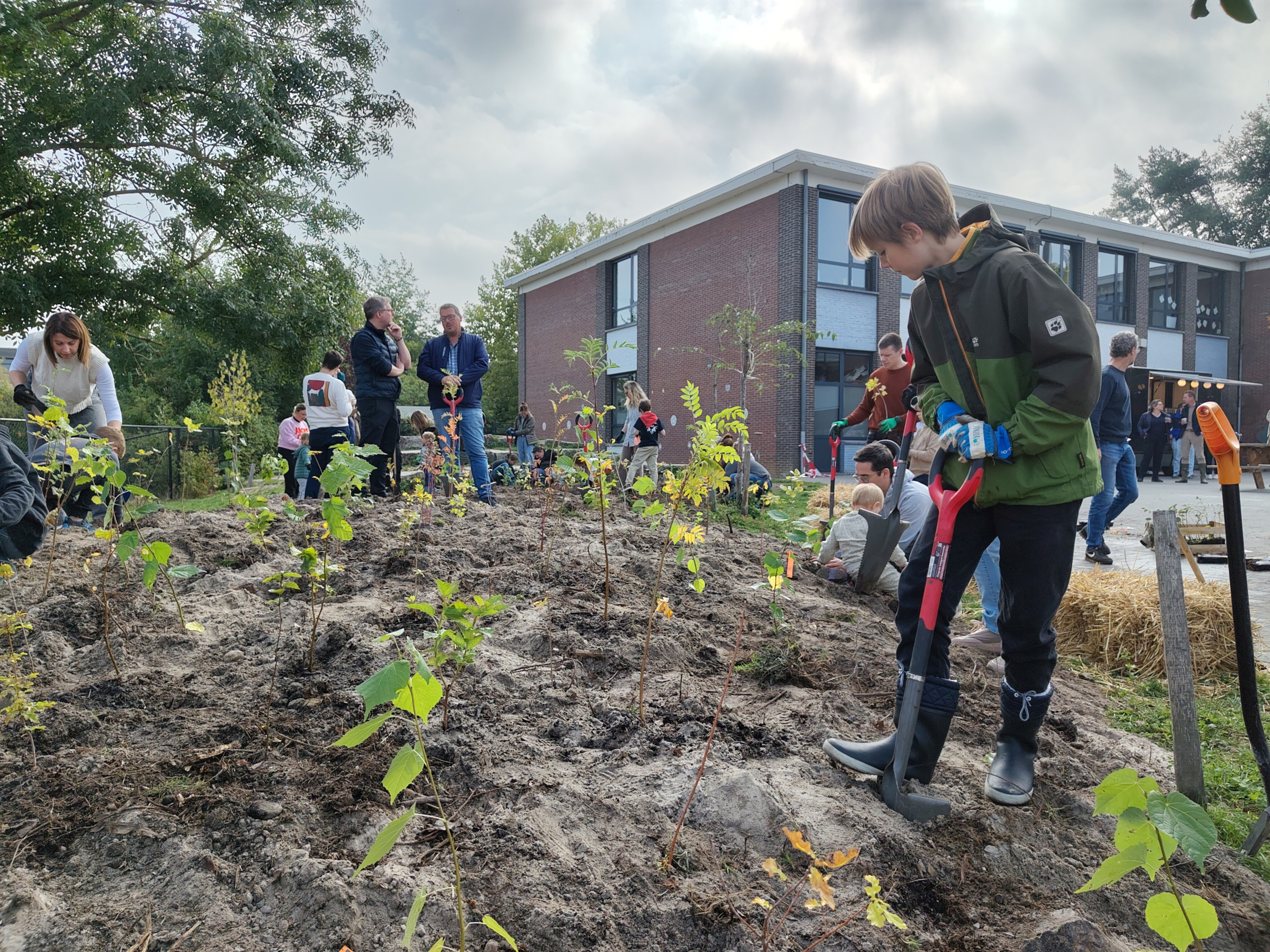 IT-bedrijf schenkt microbos aan school in Stabroek