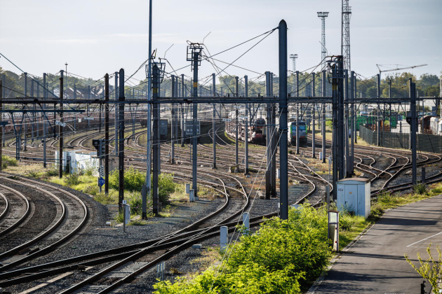 dryport muizen