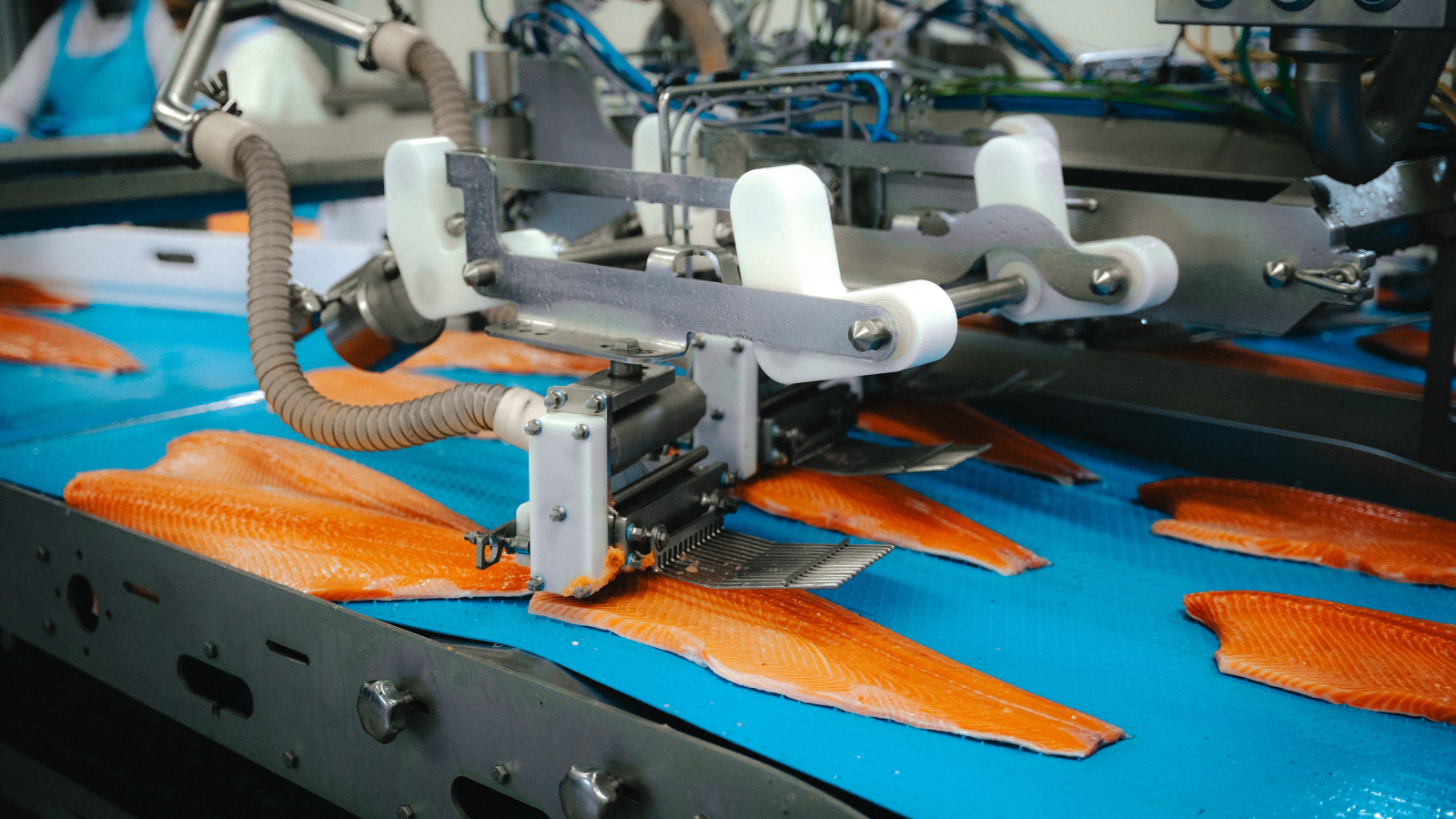 zalm in vlijtingen