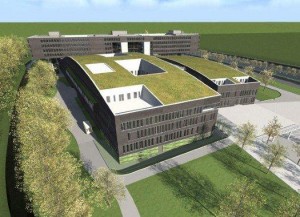 foto maria middelares