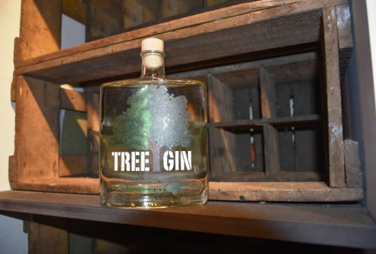 gin bosland korhaan