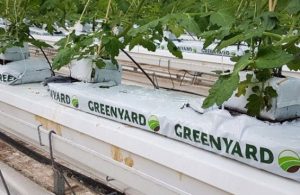 greenyard-750×368-750×368