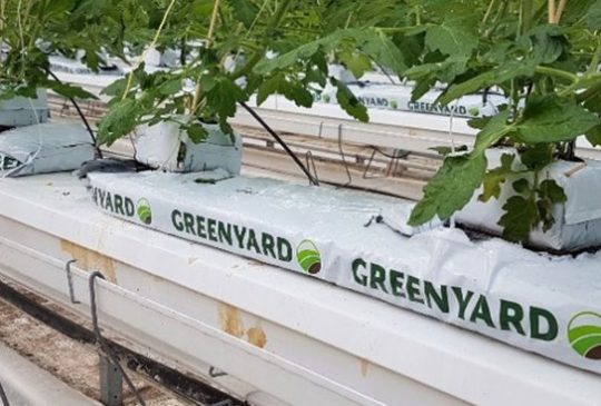 greenyard-750×368-750×368
