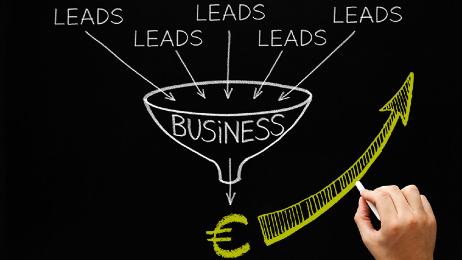 Kingfisher_Afbeelding