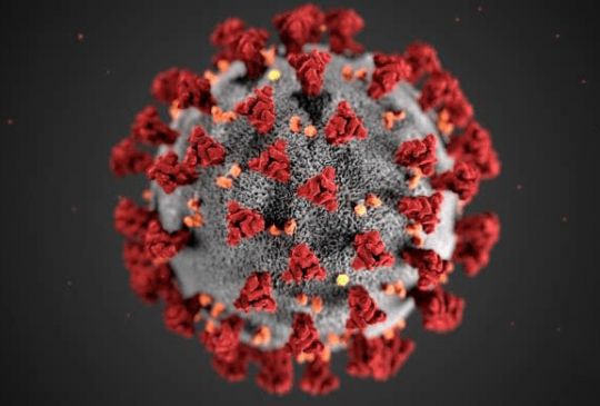 covid-19-corona-virus