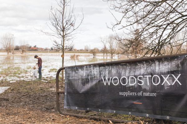 Woodstoxx campagne planteenbos Waregem