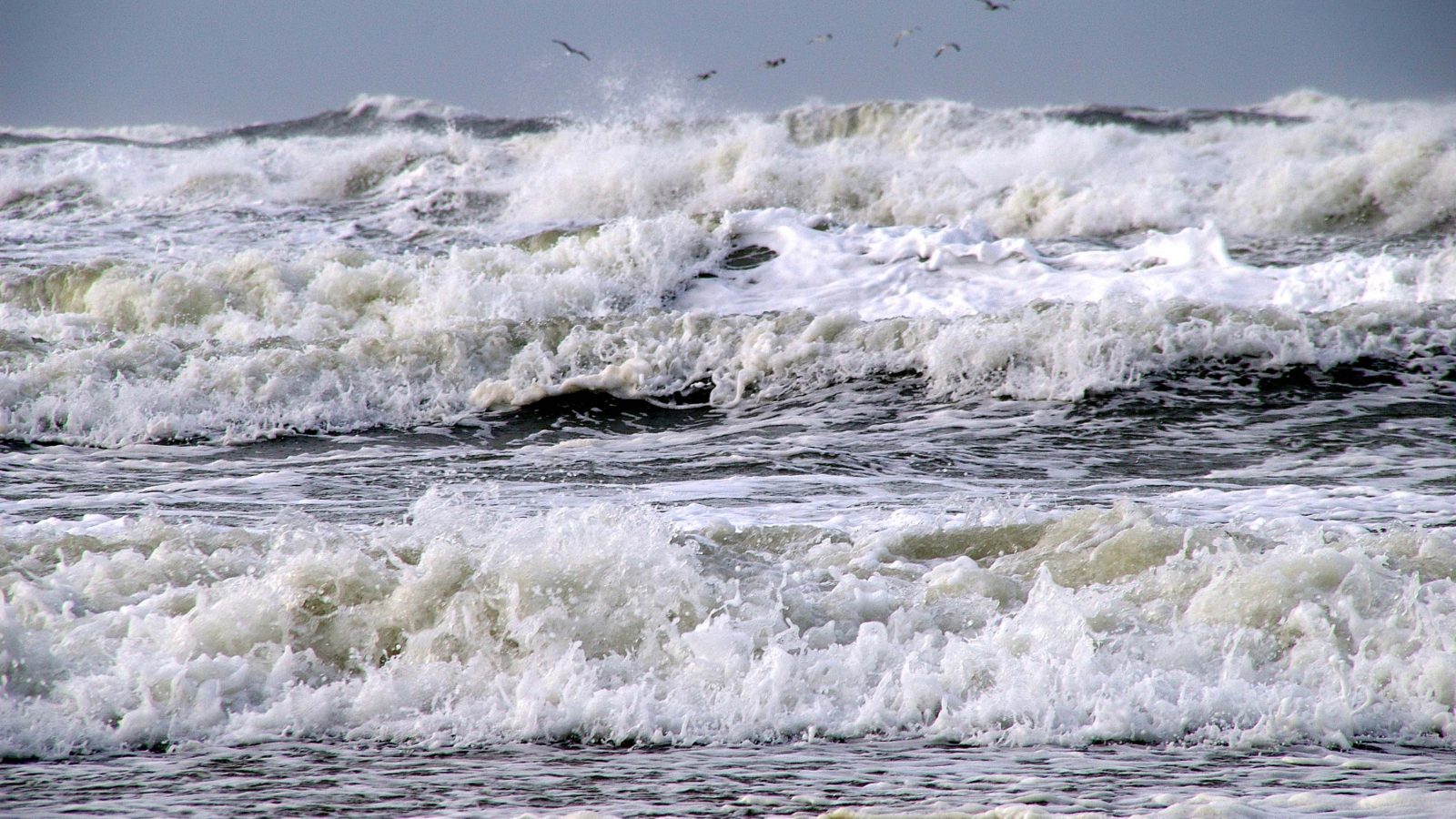 noordzee_storm_8_11_06_klein_sytske_dijksen